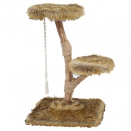 BoonyEst1941KlimboomPrunusGrizzlyBruin85cm