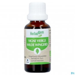 HerbalgemWildeWingerdBio30ml