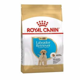 RoyalCaninDogPuppyLabradorRetrieverDry12kg