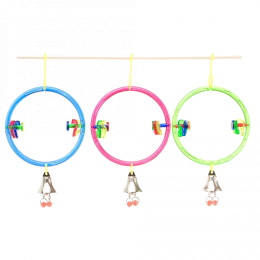 JwActivitoyRingClear