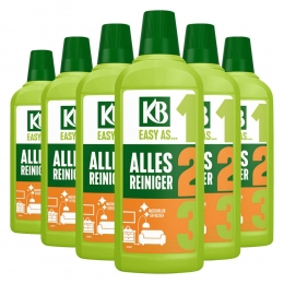 6xKBEasyAllesreinigerConcentraat750ml