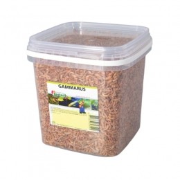 Gammarus8mm25litervoerSurenCollection-Surencollection