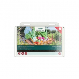 BuzzyCollectionKweekset6GroenteVanOosterseOorsprong1set