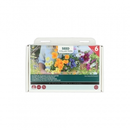 BuzzyCollectionKweekset6KleurrijkeBloemenVoorDeStarter1set