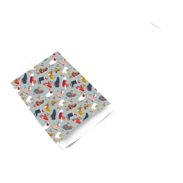 Cadeauzakjes-Sintschoen-5stuks-12x19cm