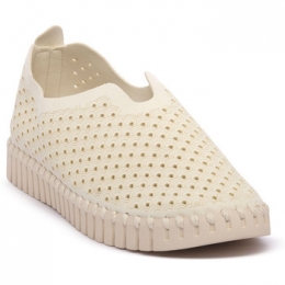 BallerinasIlseJacobsenJACOBSENMICRTULIP3275