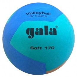 GalaVolleybalJeugd170grBV5685