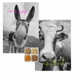 Setvan2theedoekenFarmBlanc