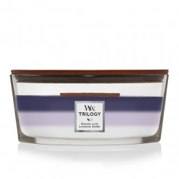 WoodWickGeurkaarsEllipseTrilogyEveningLuxe454gr
