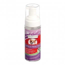 bogacareHonden-droogshampooCleanFreshFoam150ml