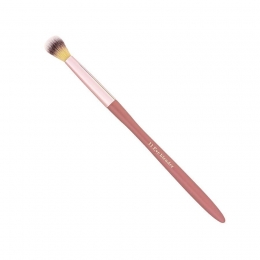 CentPurCentEyeBlenderBrush11