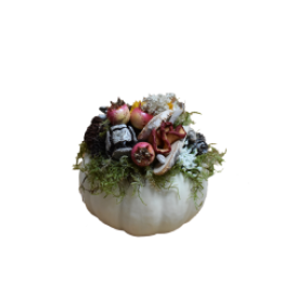 OutletOOpgemaakteEchtePompoenWit20cm-WarentuinCollection