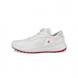 EccoGolfCore