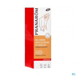 PranarmAromalgicGelCrmeGewrichtenBio100ml