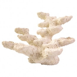 BmmarinerockstaandBlueMarineAquadistri-Aquadistri