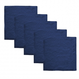 TheOneGastendoek450gram30x30cmNavy5stuks