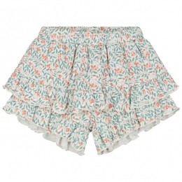 Prnatalbabyskort