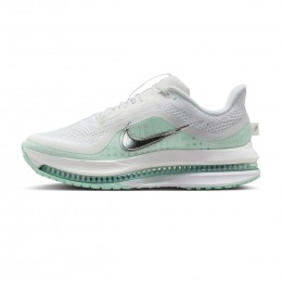 NikePegasusPremiumDames