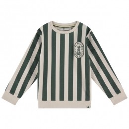 StainsStoriespeutersweater