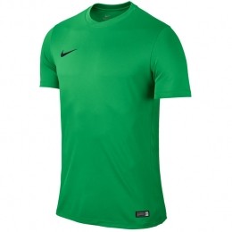 NikeParkVIJerseyGroen