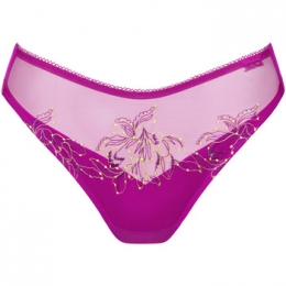 TangasLiscaBraziliaanseJive