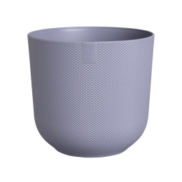 Jazzrond19lavendellilabloempotelho-Elho