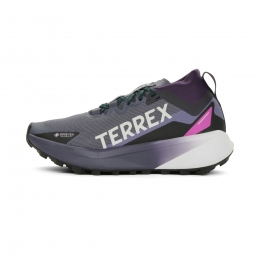 adidasTerrexAgravicGTXDames