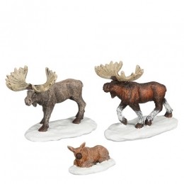 Moose3stuksl85xb45xh7cm-Luville