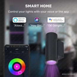 SmartLEDwandlamp-RGBWWlichtkleuren-55Watt-345Lumen-IP54-UpDownlight-Voorbinnenenbuiten-Dubbelzijdig-Zwartvoorbinnenen