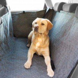 Honden-AutodekenAllsidePrestigeantraciet