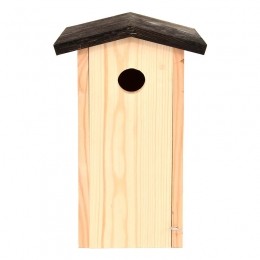 Nestkastkoolmees-Bestforbirds
