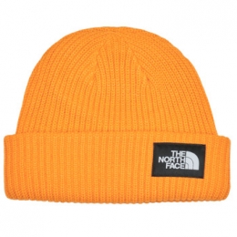 MutsTheNorthFaceSALTYLINEDBEANIE