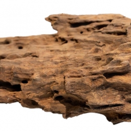 HoneycombwoodmediumAquadistri-Aquadistri