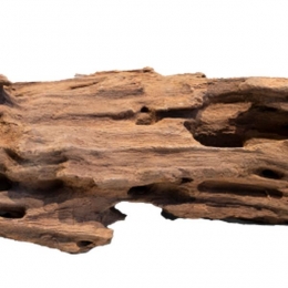 HoneycombwoodlargeAquadistri-Aquadistri