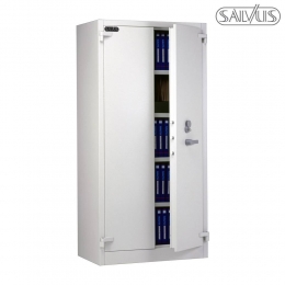 SalvusHS29002