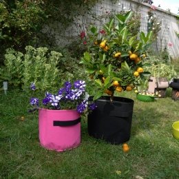 BloempotVilt20LFurniteam