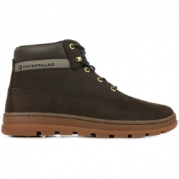 LaarzenCaterpillarCite