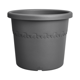 Algarvecilindro30antracietbloempotelho-Elho