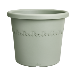 Algarvecilindro30tijmgroenbloempotelho-Elho