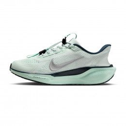 NikePegasusEasyOnDames