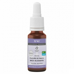 BachbloesemBioN41DruppelsConcentratie20ml