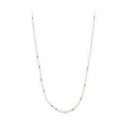 AniaHaieKettingChicCreatorN058-06G