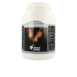 GastroCarePaardenPoeder12kg