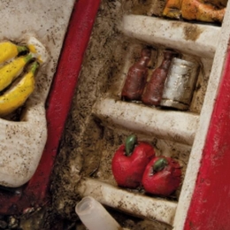 SfbubbledecokoelkastSuperfish-Superfish