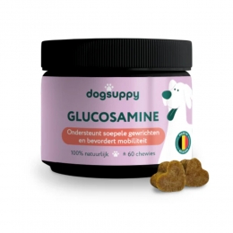 DogSuppyGlucosamin60stuks