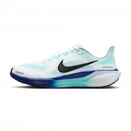 NikePegasus41Heren