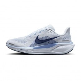 NikePegasus41Dames
