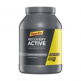 PowerbarRecoveryMax20Chocolate12kg