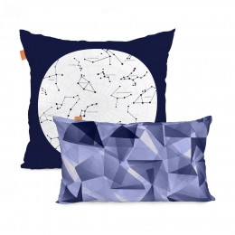 Setvan2kussenhoezenCosmosBlanc