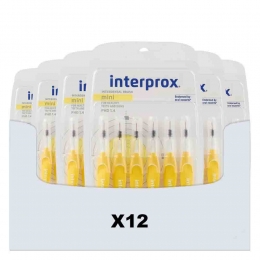 12xInterproxRagersMiniGeelPHD146stuks